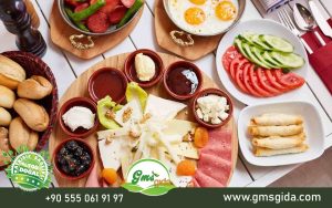 Giriş -gms-gida.com