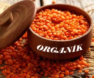 Organik ürünler gms gida